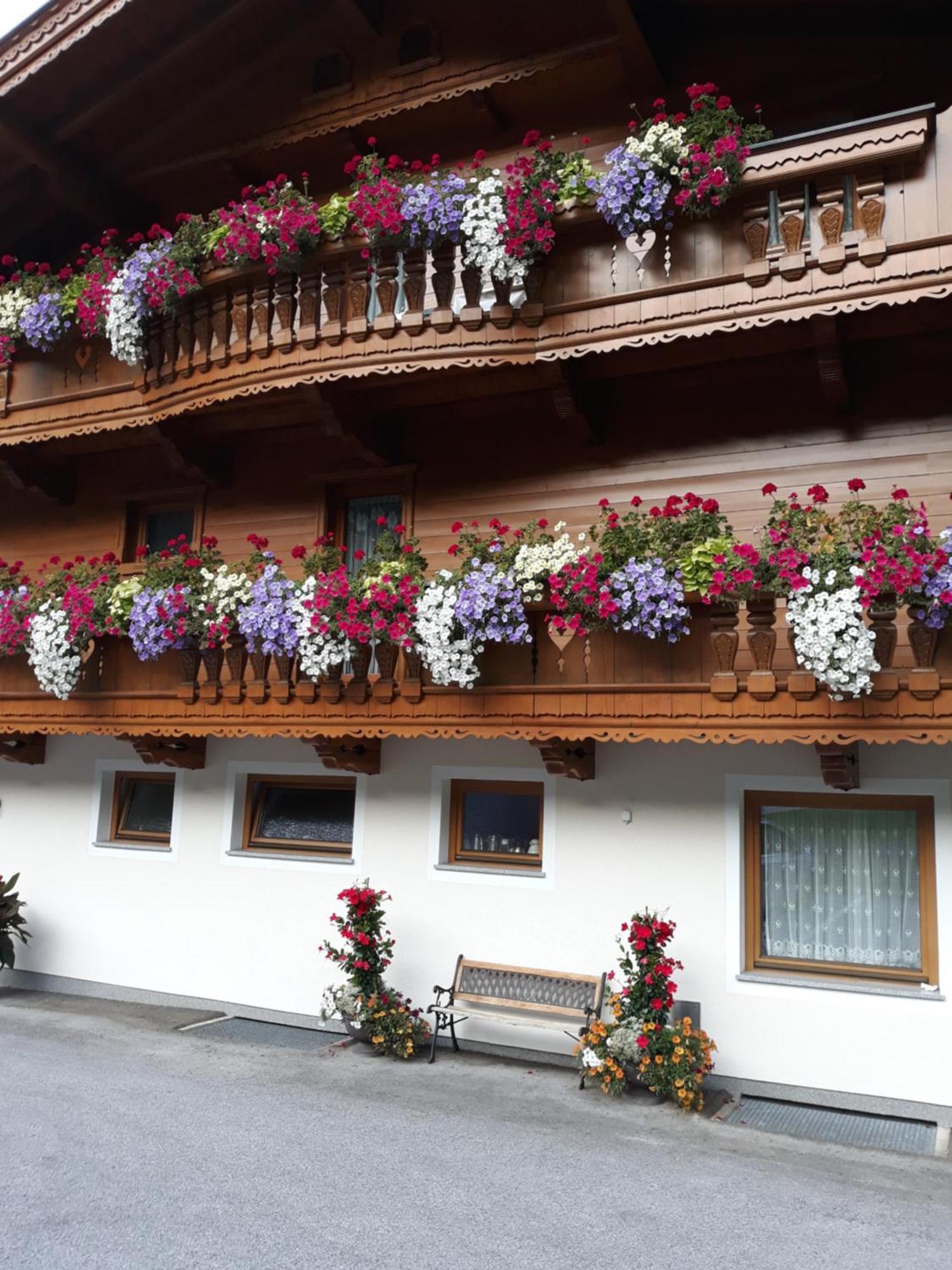 Haus Binder Otel Ried im Zillertal Dış mekan fotoğraf