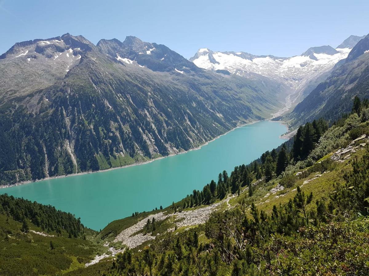 Haus Binder Otel Ried im Zillertal Dış mekan fotoğraf