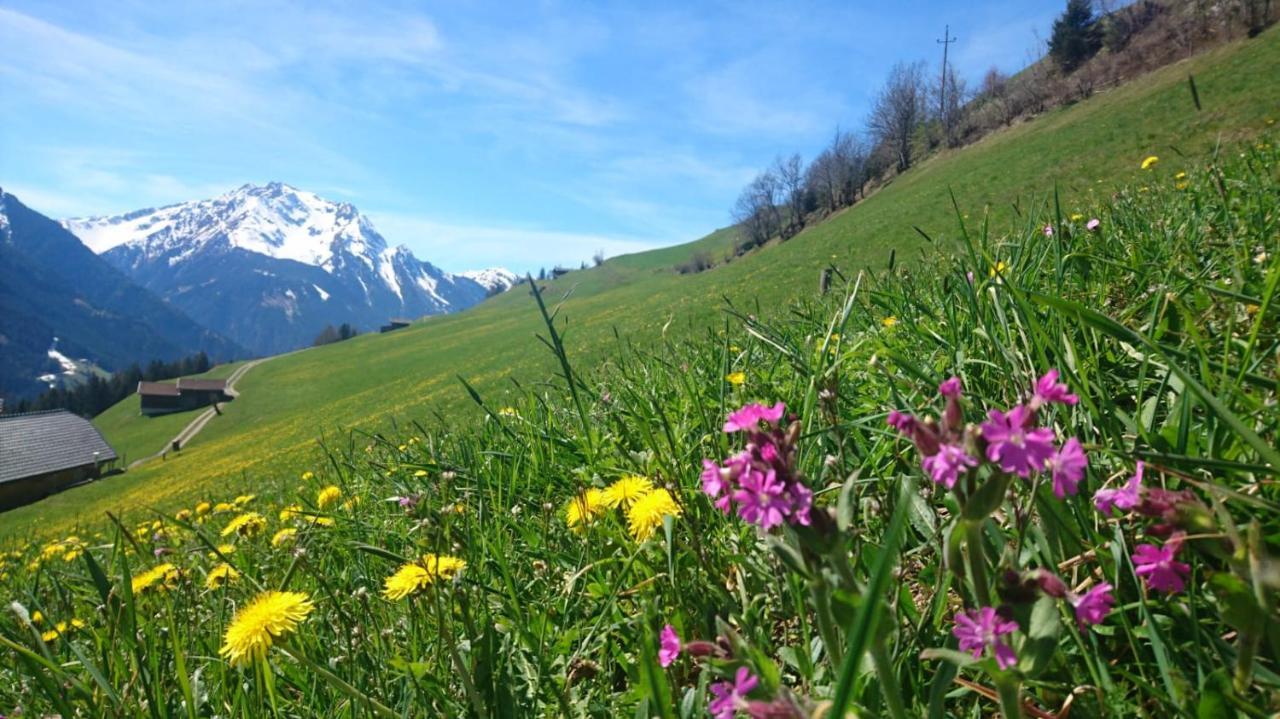 Haus Binder Otel Ried im Zillertal Dış mekan fotoğraf
